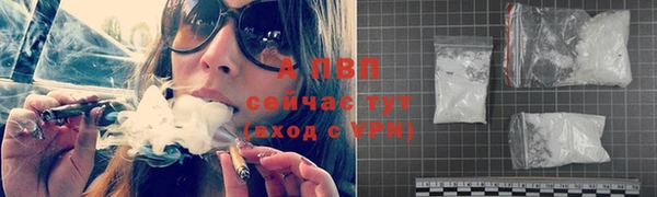 PSILOCYBIN Медногорск