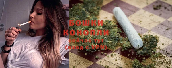 PSILOCYBIN Медногорск