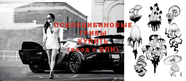 a pvp Мегион