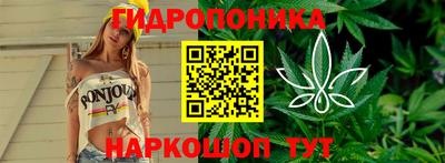 наркотики Канаш