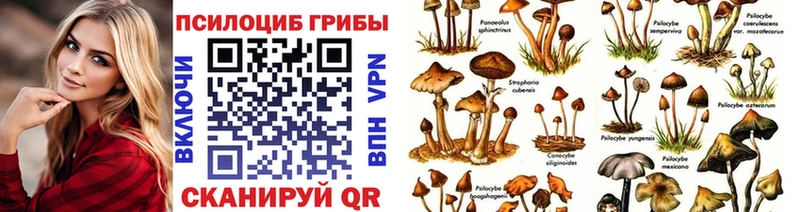 Псилоцибиновые грибы Cubensis  Подольск 