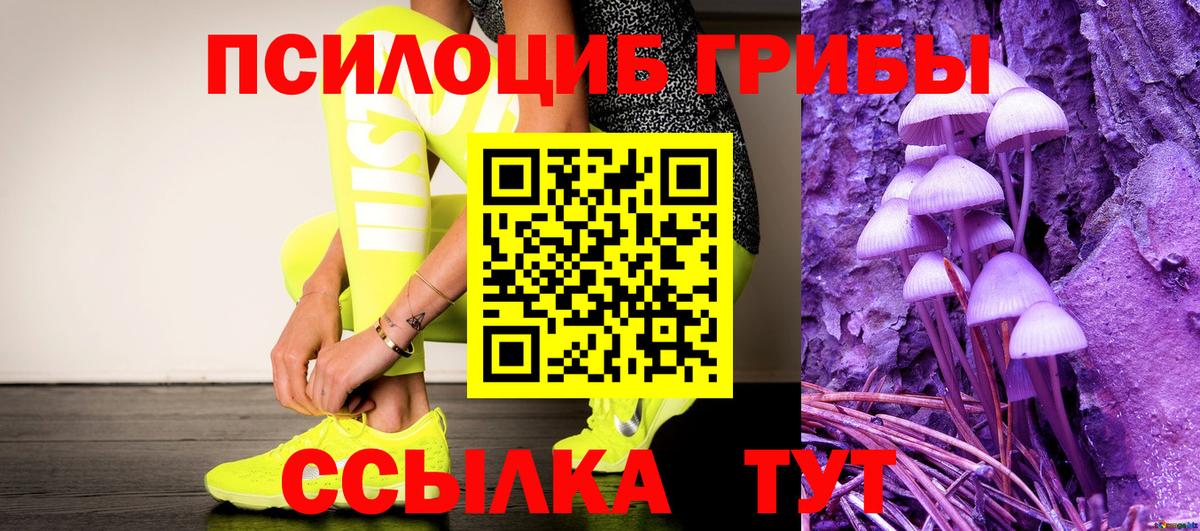 Галлюциногенные грибы мицелий  Вход с VPN  где продают   Подольск  Галлюциногенные грибы Magic Shrooms 