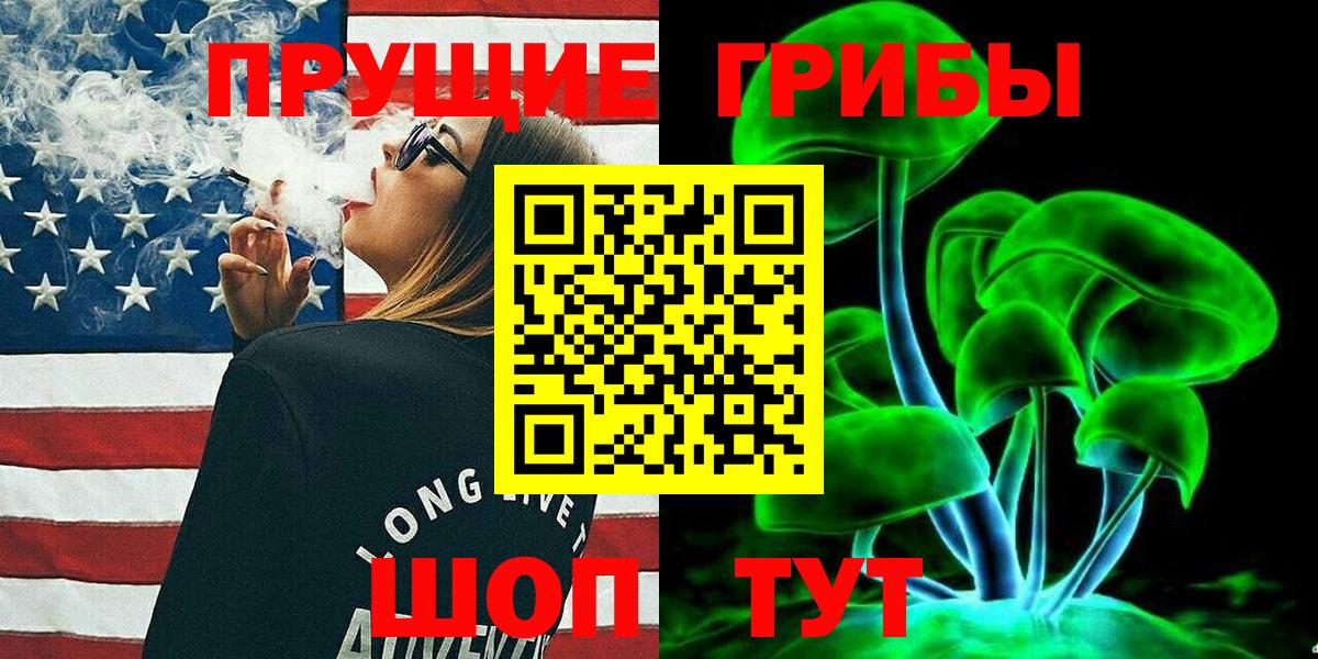 цены   Подольск  Галлюциногенные грибы GOLDEN TEACHER  Псилоцибиновые грибы прущие грибы 